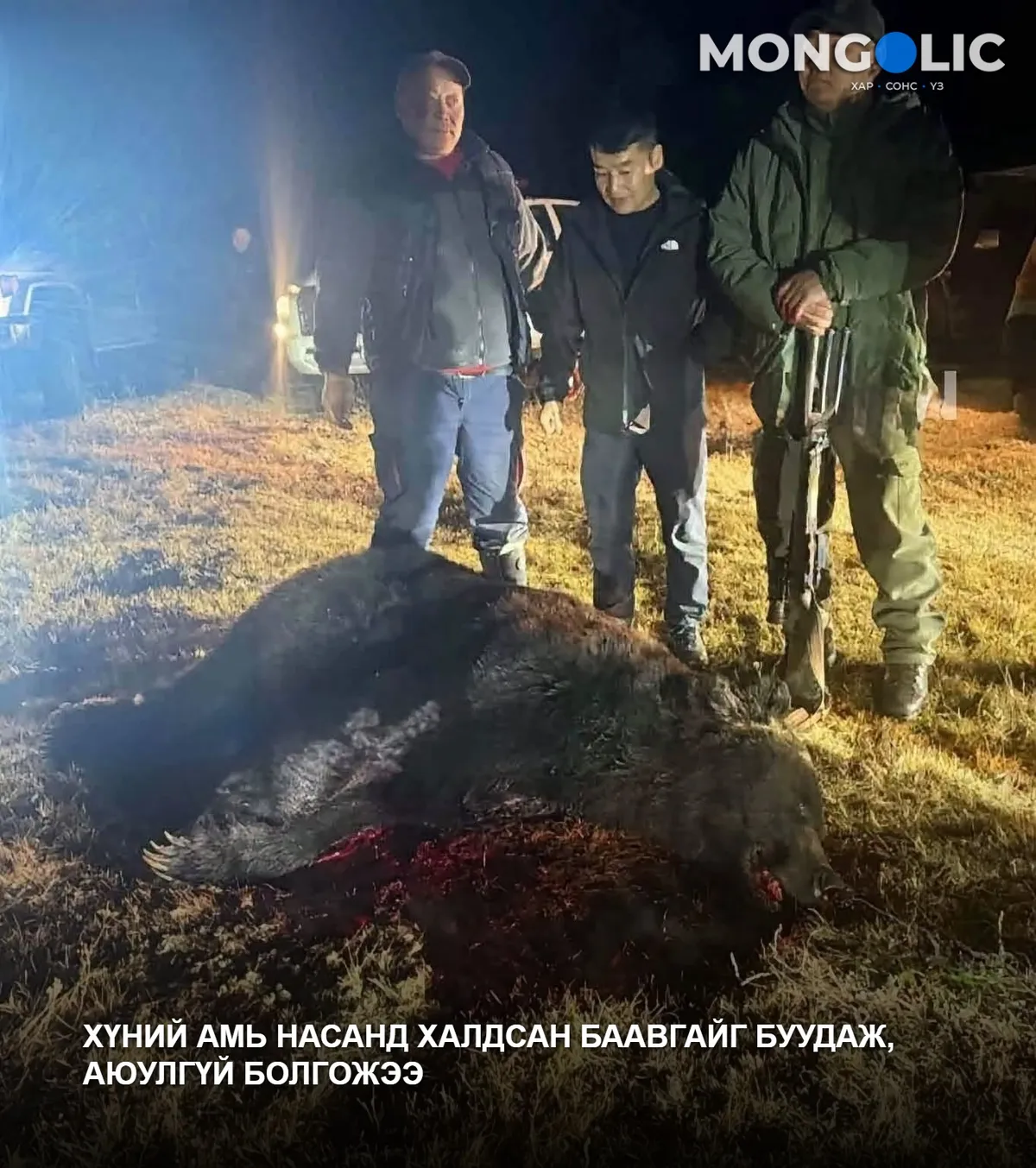 Хүний амь насанд халдсан баавгайг буудаж, аюулгүй болгожээ